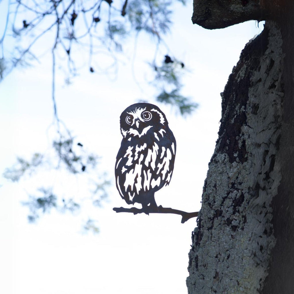 Morepork