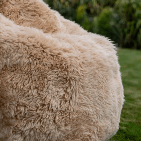 Bean Bag - The Better Kiwi Co