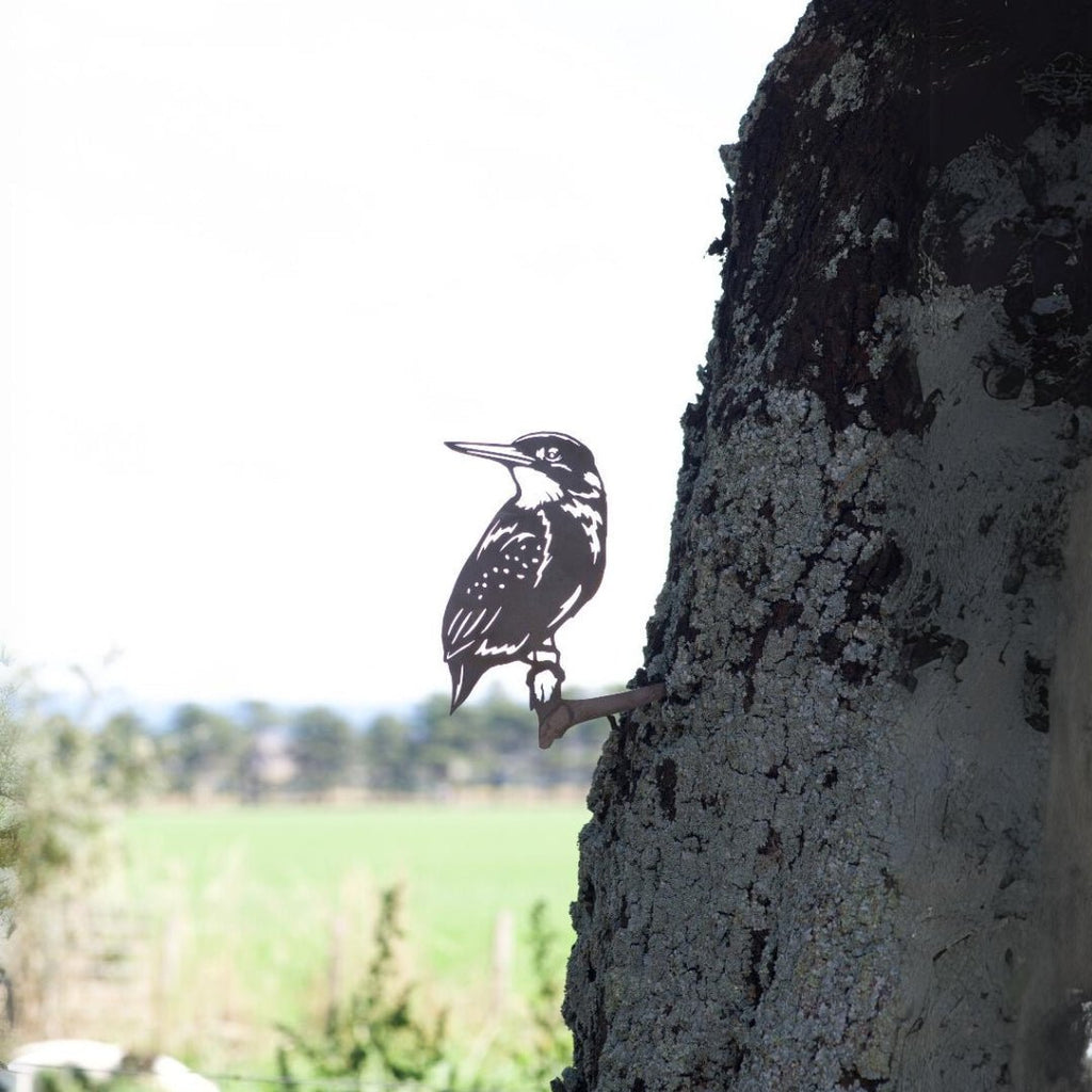 Kingfisher - The Better Kiwi Co