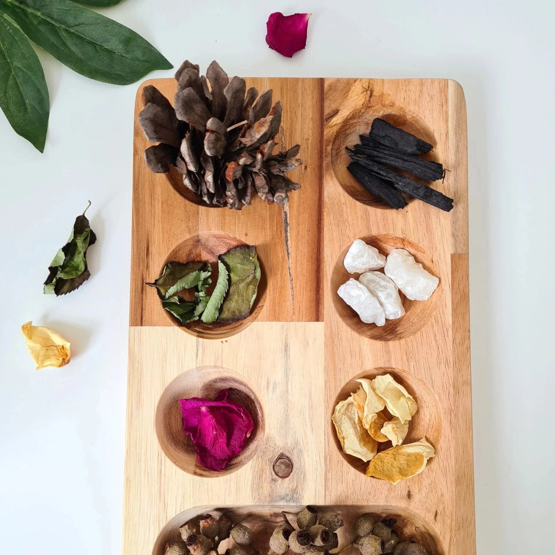 Wooden Montessori Sorting Tray - QToys | Wooden Toys NZ