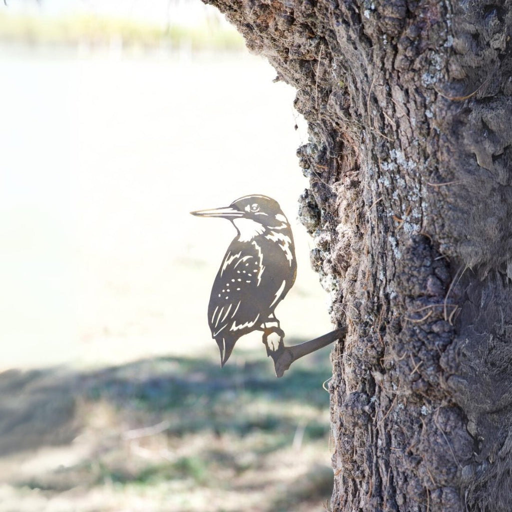 Kingfisher - The Better Kiwi Co