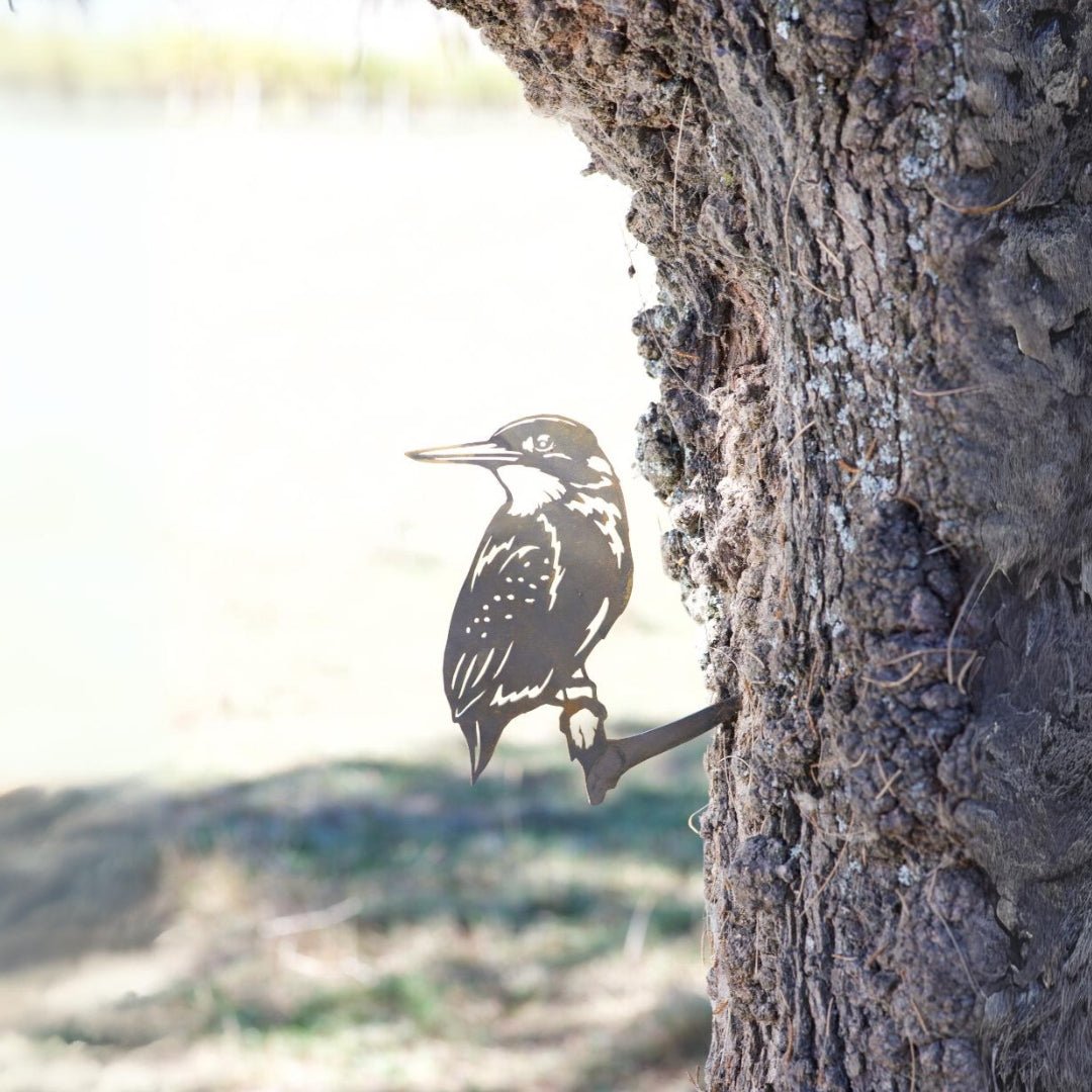 Kingfisher - The Better Kiwi Co