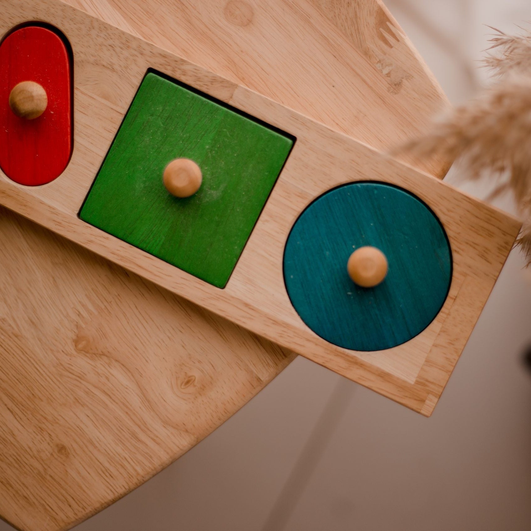 Giant Wooden Shape Knob Puzzle – QToys