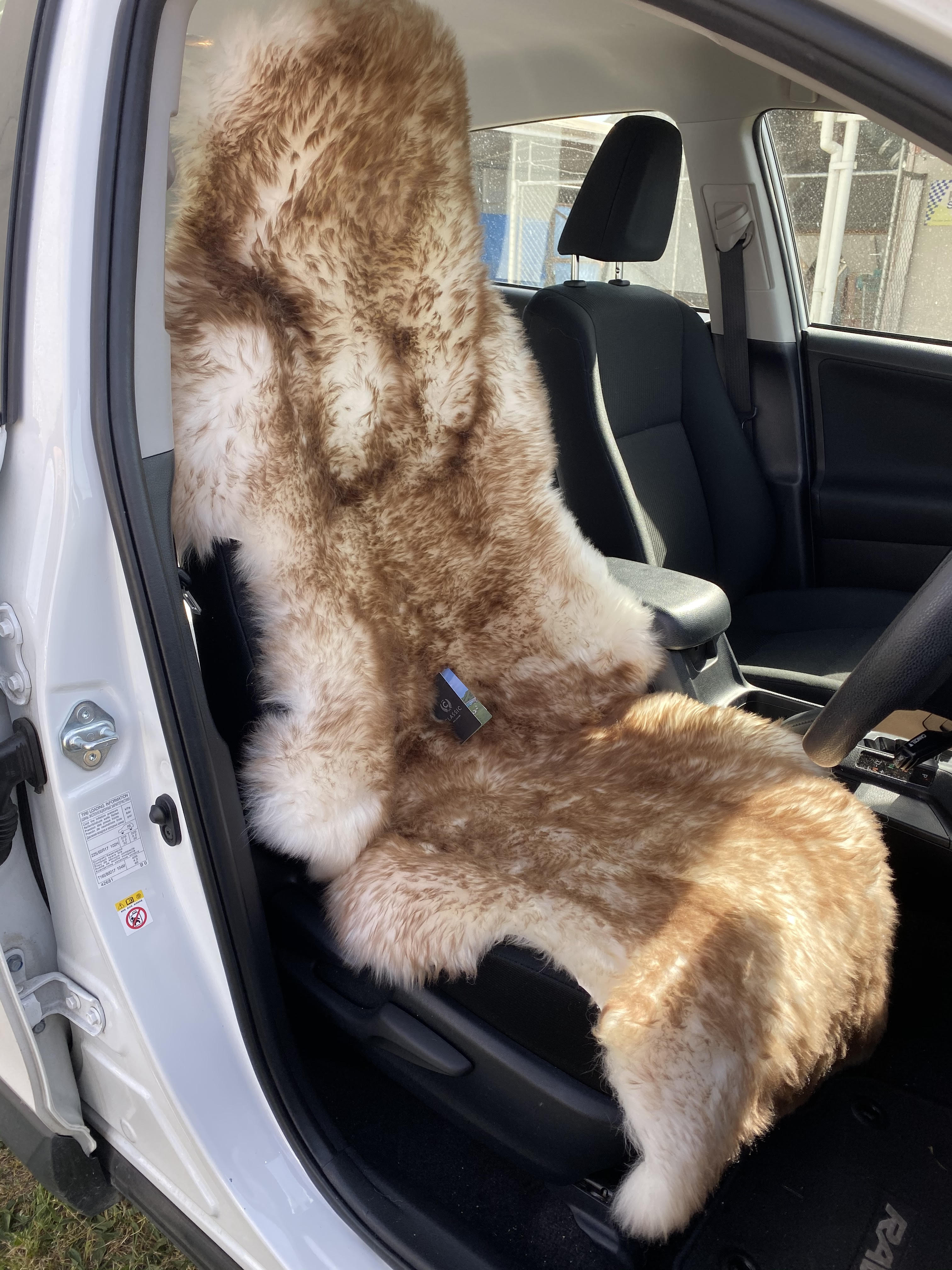 Car Seat Cover