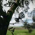 Fantail - The Better Kiwi Co