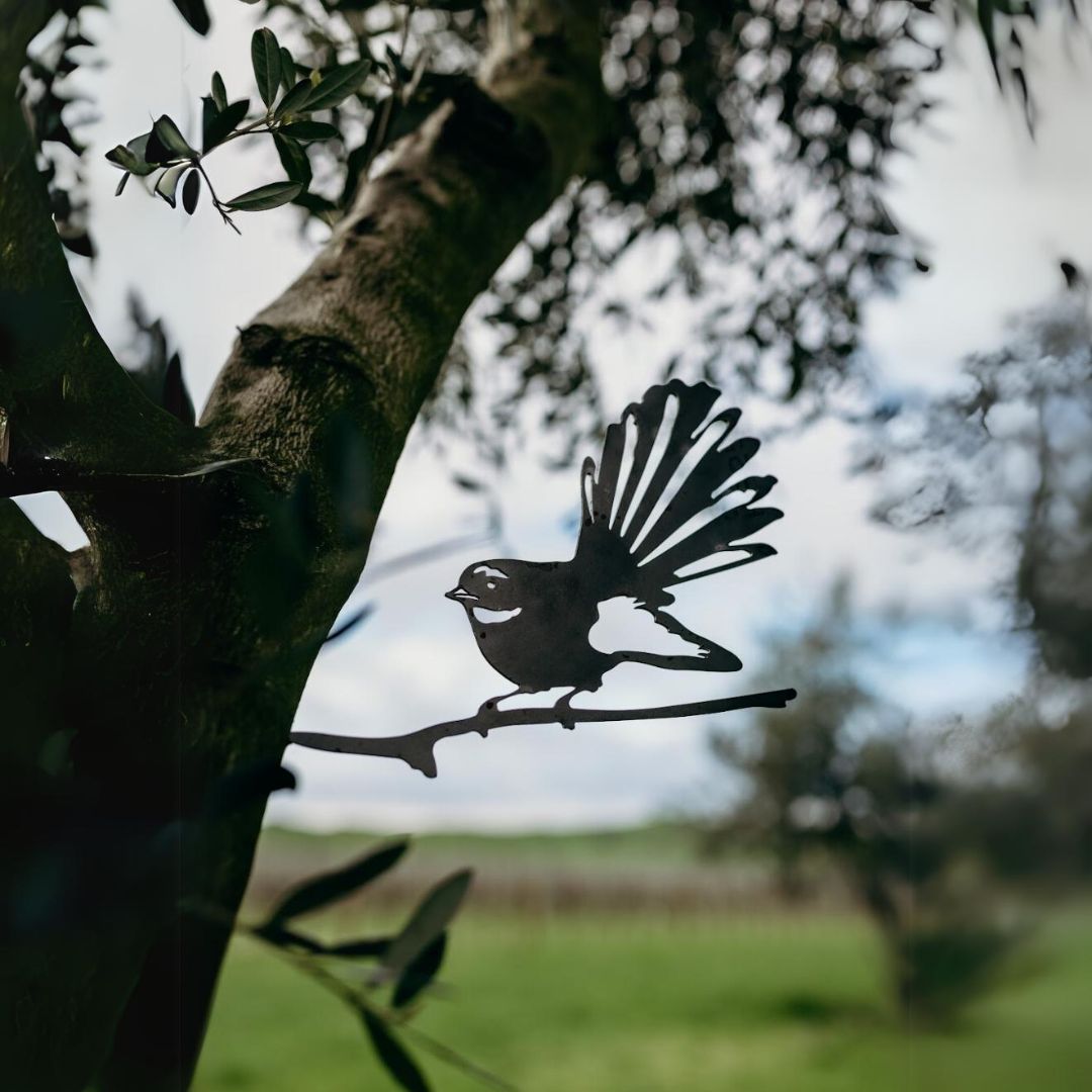 Fantail - The Better Kiwi Co