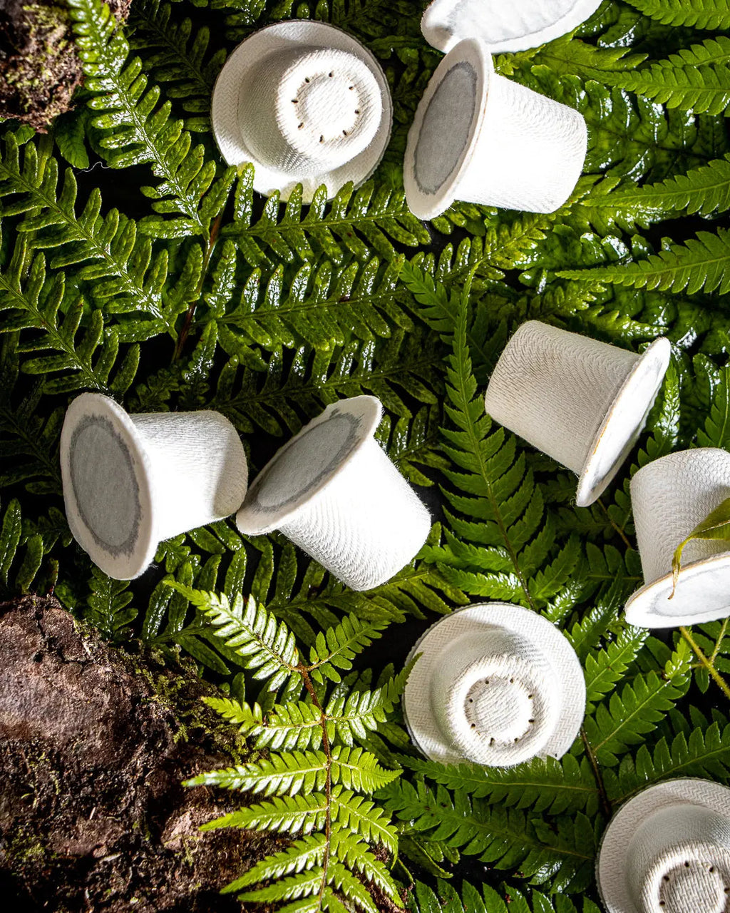 Compostable Coffee Pod: Lungo - Medium