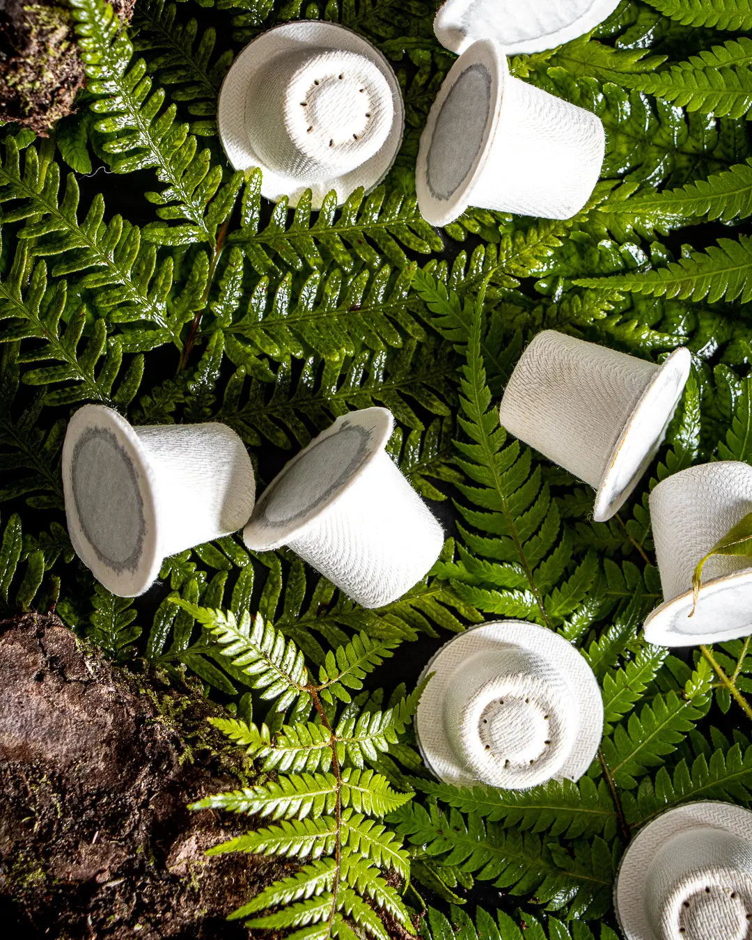 Compostable Coffee Pod: Indian Parchment - Strong