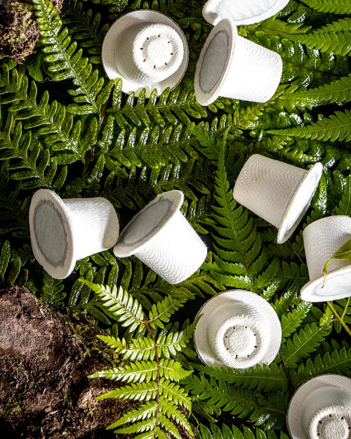 Compostable Coffee Pod: Indian Parchment - Strong