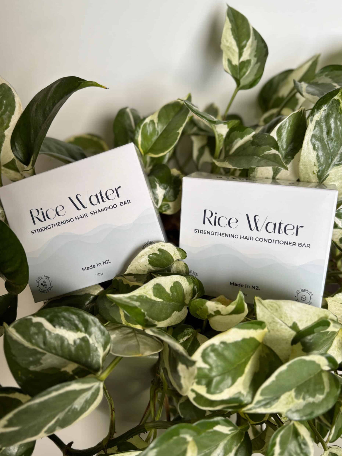 Rice Water Hair Shampoo & Conditioner Combo - The Better Kiwi Co