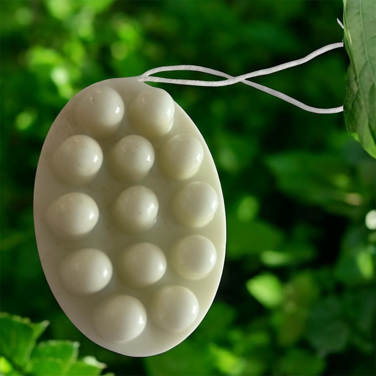 Kawakawa Oat Milk Face + Body Bar (Lavender, Hemp & Calendula) - The Better Kiwi Co