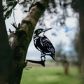 Kingfisher - The Better Kiwi Co