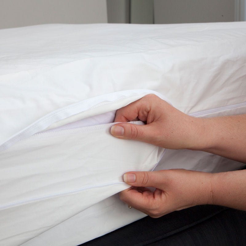 MiteGuard Dust Mite Mattress Cover - The Better Kiwi Co