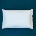 MiteGuard Dust Mite Lodge Pillow Cover