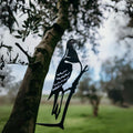 Pigeon - The Better Kiwi Co