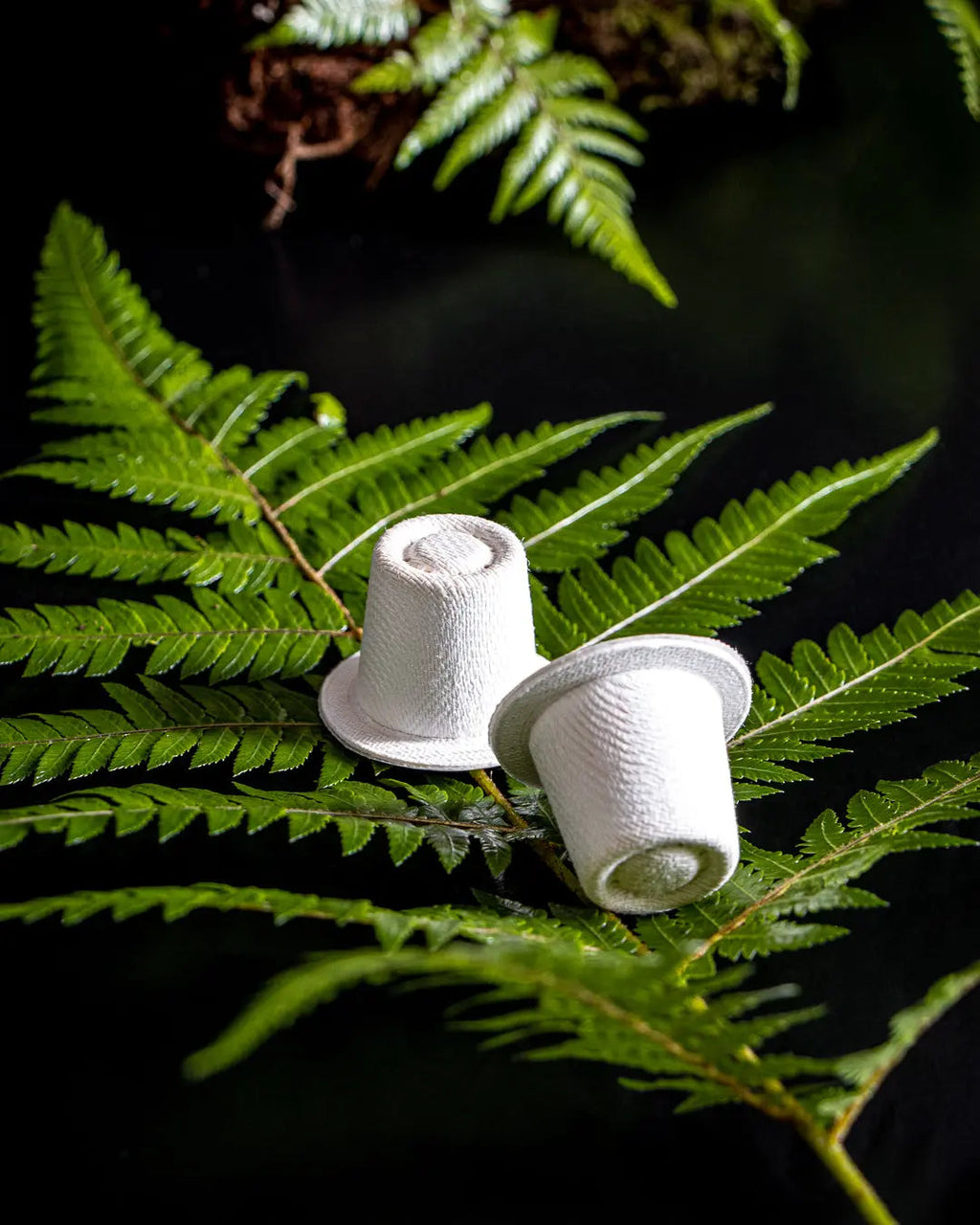 Compostable Coffee Pod: Ola Noir - Strong