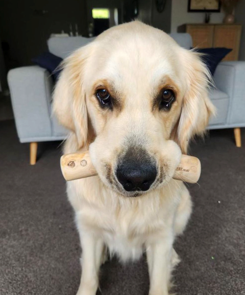 Coffee Wood Dog Chews