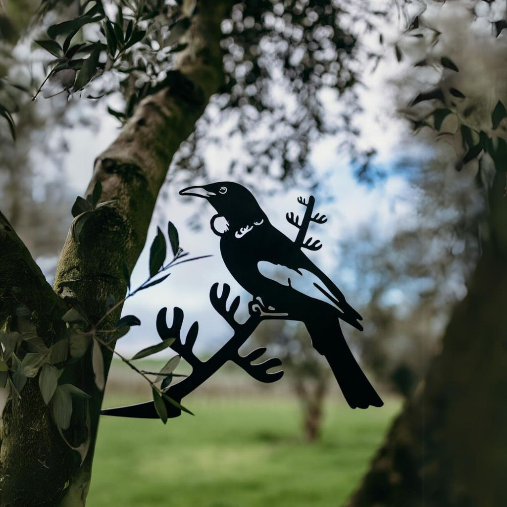 Tui - The Better Kiwi Co