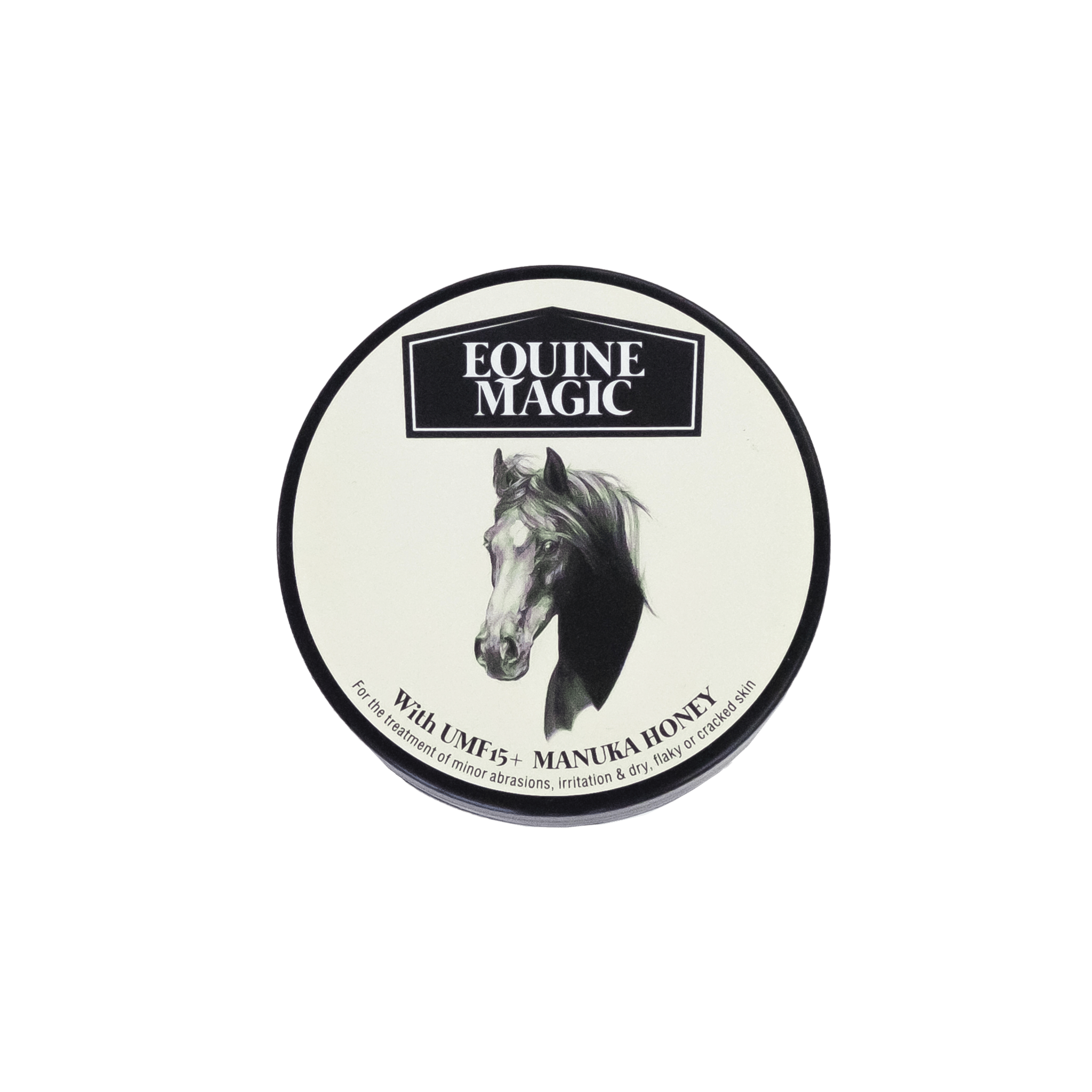 Equine Magic