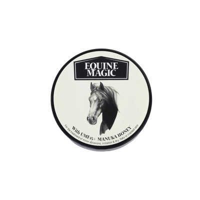 Equine Magic