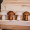 Wooden Mushroom 10pc Sorting Set - QToys | Wooden Toys NZ