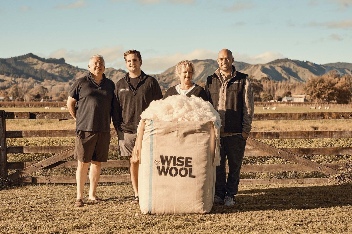 Wisewool™ Cushion Inners